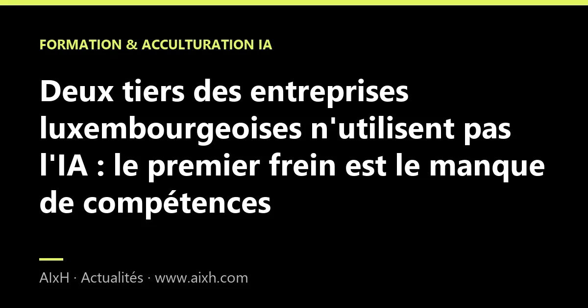 Deux tiers des entreprises luxembourgeoises n'utilisent pas l'IA : le premier frein est le manque de compétences
